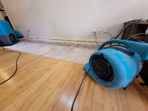 Professional Ceiling Water Damage Repair technician working in Patterson, CA
